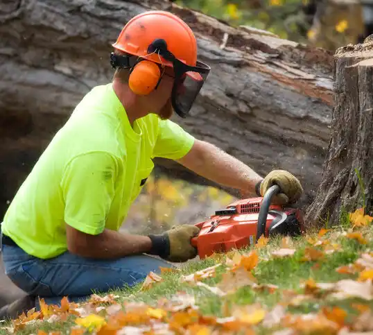 tree services Fairfield Harbour